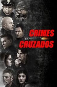 Assistir Crimes Cruzados online