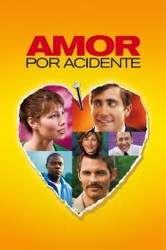 Assistir Amor por Acidente online