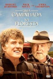 Assistir Uma Caminhada na Floresta online