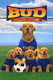 Assistir Bud 3: Jogando Futebol online