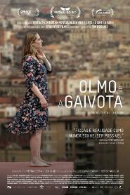 Assistir Olmo e a Gaivota online