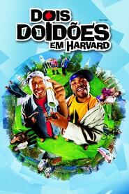 Assistir Dois Doidões em Harvard online