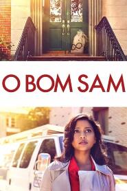 Assistir O Bom Sam online