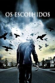 Assistir Os Escolhidos online