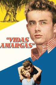 Assistir Vidas Amargas online