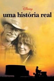 Assistir Uma História Real online