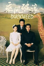 Assistir Duckweed online