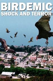 Assistir Birdemic: Shock and Terror online