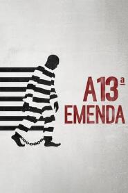 Assistir A 13ª Emenda online