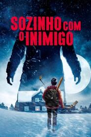 Assistir Sozinho com o Inimigo online