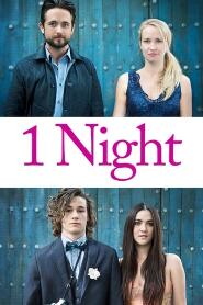 Assistir 1 Night online