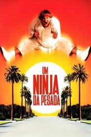 Assistir Um Ninja da Pesada online