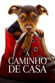 Assistir A Caminho de Casa online