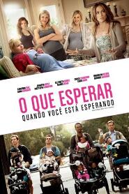 Assistir O Que Esperar Quando Você Está Esperando online