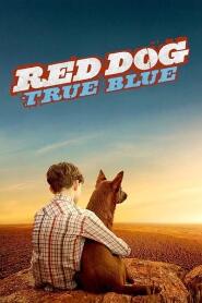 Assistir Cão Vermelho: True Blue online