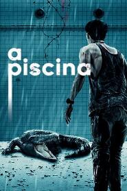 Assistir The Pool online