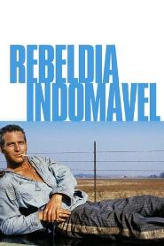 Assistir Rebeldia Indomável online