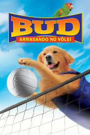 Assistir Bud 5: Arrasando no Vôlei! online