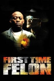 Assistir First Time Felon online