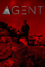 Assistir Agent online