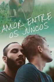 Assistir Amor Entre os Juncos online