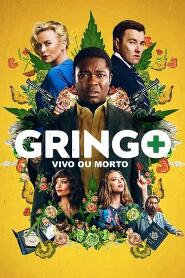 Assistir Gringo - Vivo ou Morto online