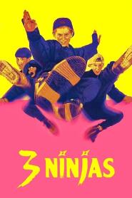 Assistir 3 Ninjas online