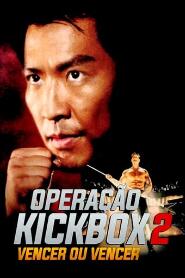 Assistir Operação Kickbox 2 - Vencer ou Vencer online