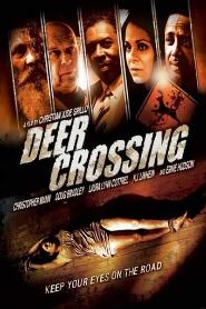 Assistir Deer Crossing online