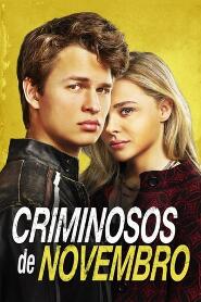 Assistir Criminosos de Novembro online