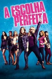 Assistir A Escolha Perfeita online