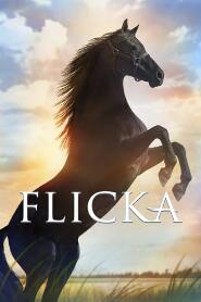 Assistir Flicka online