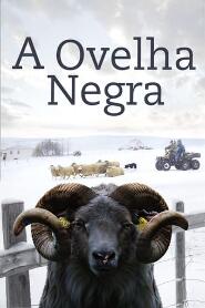 Assistir A Ovelha Negra online