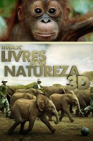 Assistir Livres por Natureza online