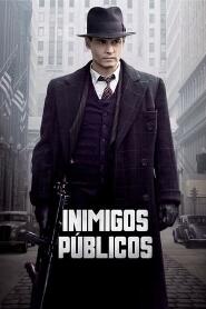 Assistir Inimigos Públicos online