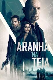 Assistir Aranha na Teia online