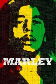 Assistir Marley online