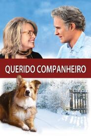 Assistir Querido Companheiro online