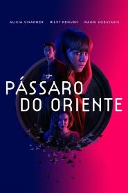 Assistir Pássaro do Oriente online