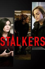 Assistir Stalkers online