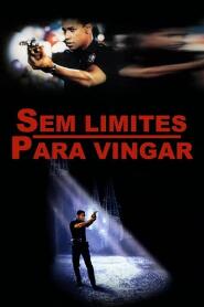 Assistir Sem Limite Para Vingar online