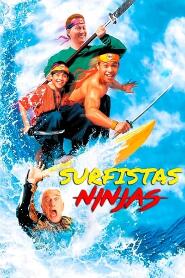 Assistir Surfistas Ninjas online