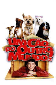 Assistir Um Cão de Outro Mundo online