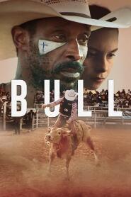 Assistir Bull online