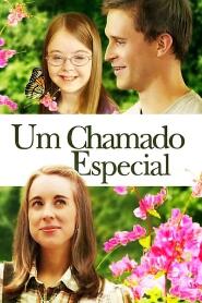 Assistir Um Chamado Especial online