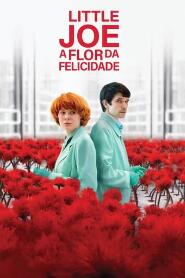 Assistir A Flor da Felicidade online