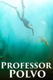 Assistir Professor Polvo online