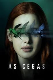 Assistir Às Cegas online