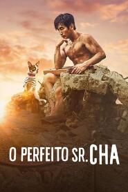 Assistir O Perfeito Sr. Cha online