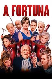 Assistir A Fortuna online